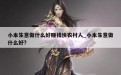 小本生意做什么好赚钱快农村人_小本生意做什么好?