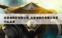 比亚迪股份有限公司_比亚迪股份有限公司是什么企业