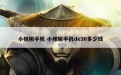 小辣椒手机 小辣椒手机de30多少钱