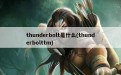 thunderbolt是什么(thunderbolttm)