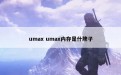 umax umax内存是什牌子