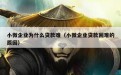 小微企业为什么贷款难（小微企业贷款困难的原因）