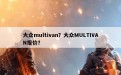 大众multivan？大众MULTIVAN报价？