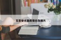 五菱荣光最新报价及图片