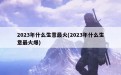 2023年什么生意最火(2023年什么生意最火爆)