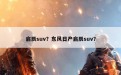 启辰suv？东风日产启辰suv？