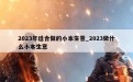 2023年适合做的小本生意_2023做什么小本生意