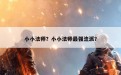 小小法师？小小法师最强流派？