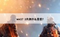 wx1？1代表什么意思？