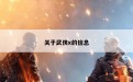 关于武侠x的信息