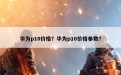 华为p10价格？华为p10价格参数？