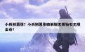 小兵别嚣张？小兵别嚣张破解版无限钻石无限金币？