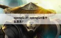 opengl2.0？opengl20是什么意思？