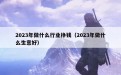 2023年做什么行业挣钱（2023年做什么生意好）