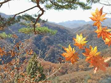 济南天气预报查询一周7天